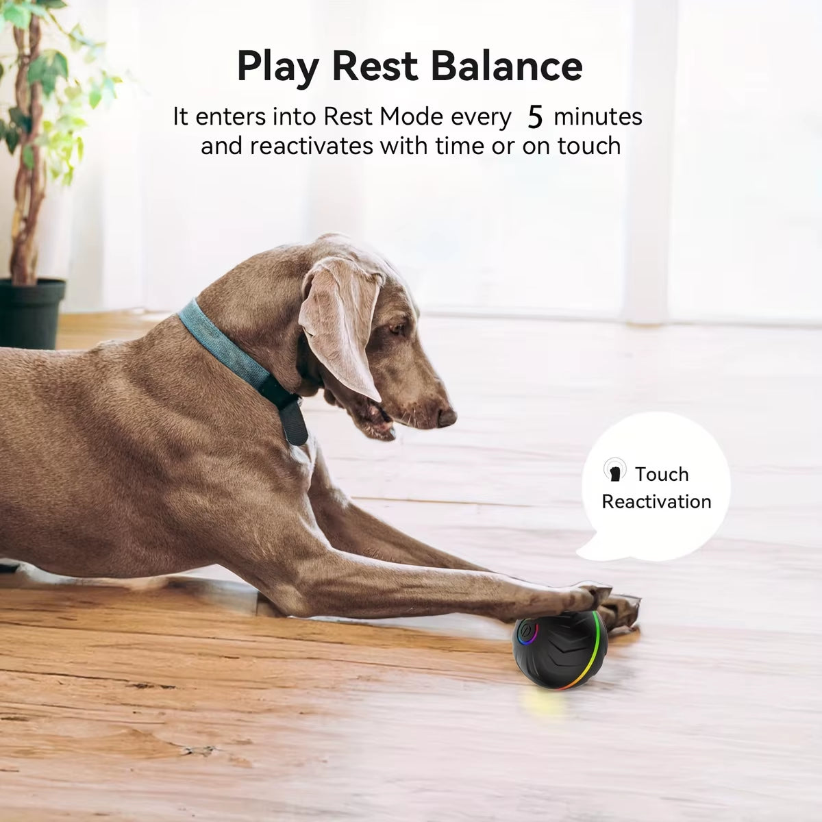 Exciting Intelligent Teasing Dog Ball - Interactive Toy with Colorful Lights for Endless Fun!